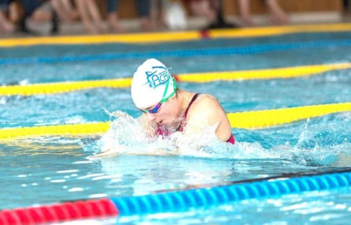 Dordogne Autumn-Winter Swimming Championship 2024 in Bergerac