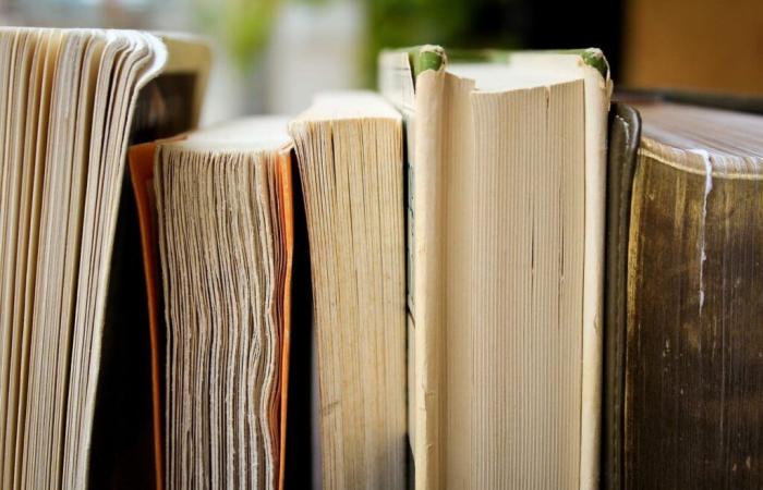 Festi’livres, the new bookish meeting in Vauvert