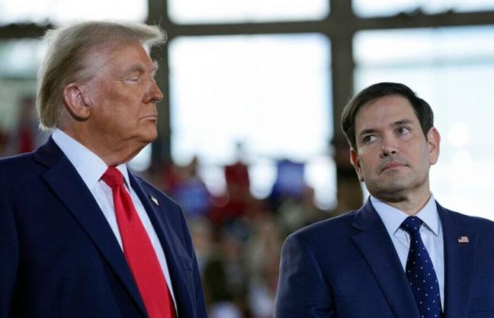 Trump to appoint 'hawks' Rubio and Waltz to head foreign policy (reports)