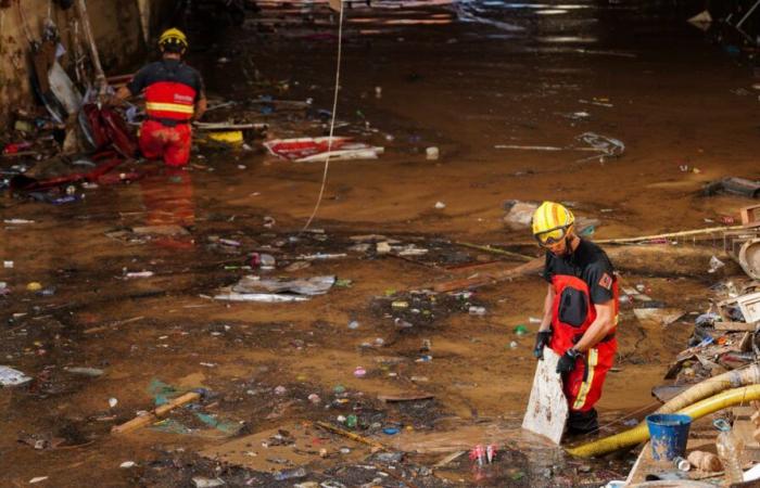 France sends around fifty rescuers and firefighters