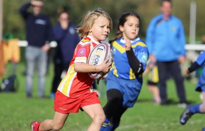 Jean Quaranta de Cahors XIII Rugby League tournament: four hundred children at the rugby league festival