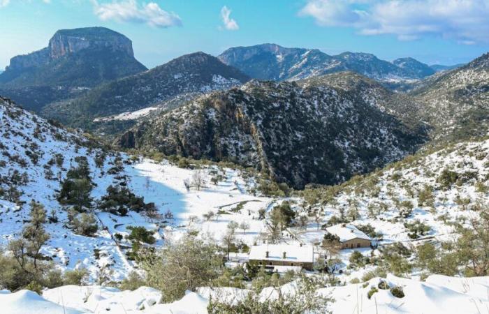 Majorca faces rare snow warning as Canary Islands hit by 35C November heatwave | World | News