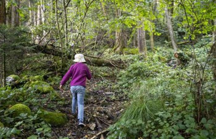 Report warns of emergence of generation of children cut off from nature