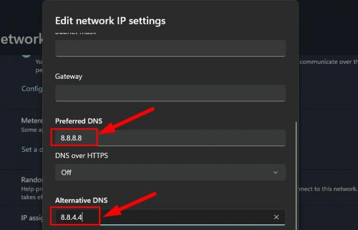 Unable to find DNS address in Windows 11