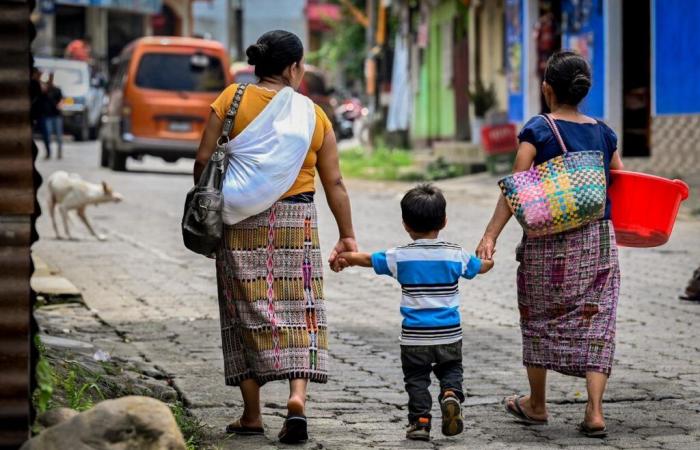 Economy: Poverty rate continues to fall in Latin America