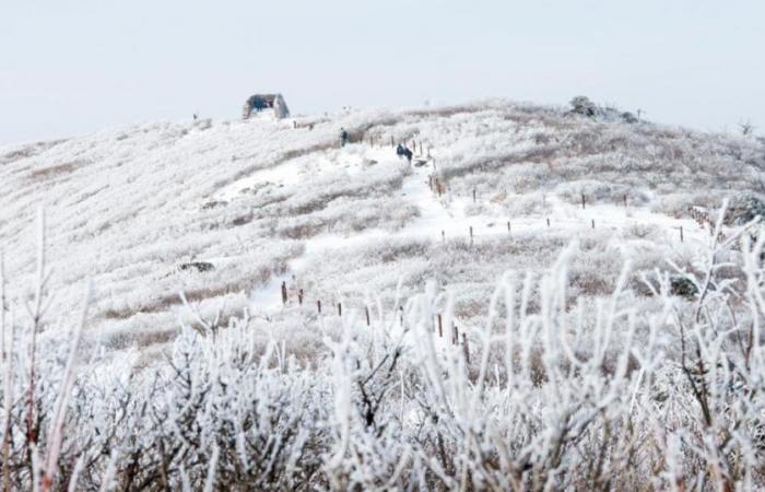 Winter atmosphere, where will it be the coldest this week?