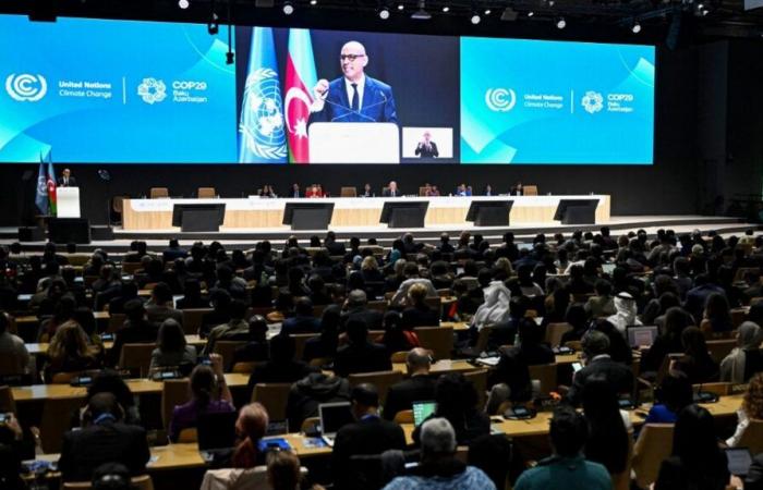 At COP29, countries adopt rules for the carbon credit market