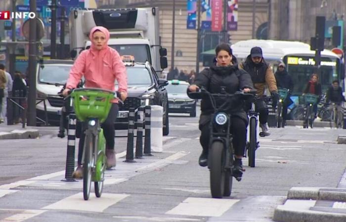 “They should be on the road”: why “fat bikes” are the new nemeses of cycle paths