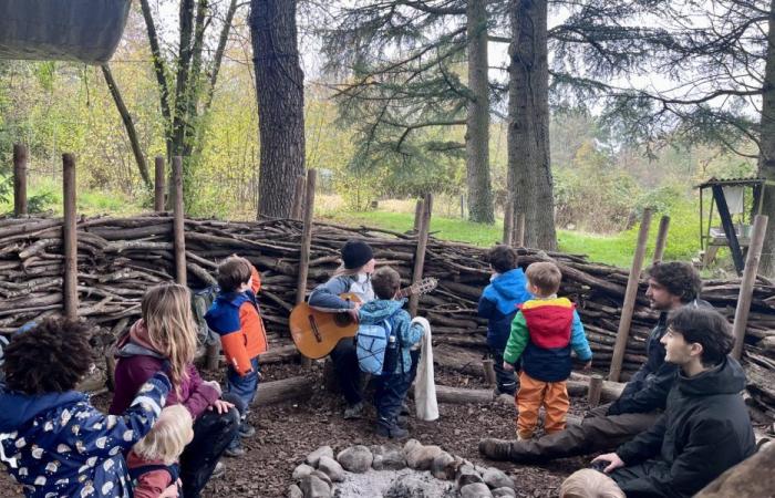 A petition to save the crèche in the forest of Plan-les-Ouates