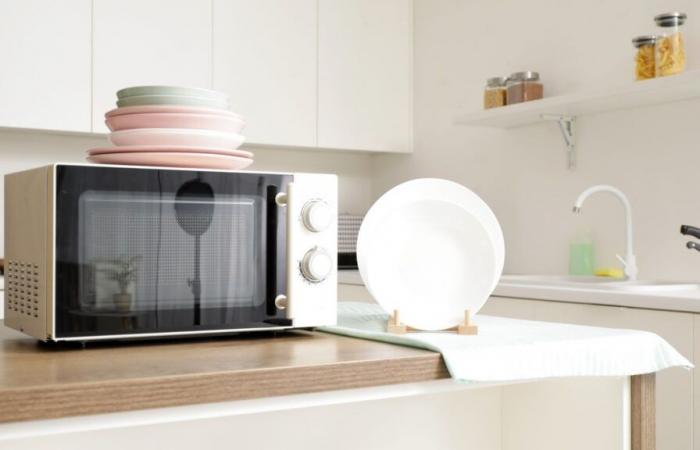 What is the best single-function microwave to choose in 2024?