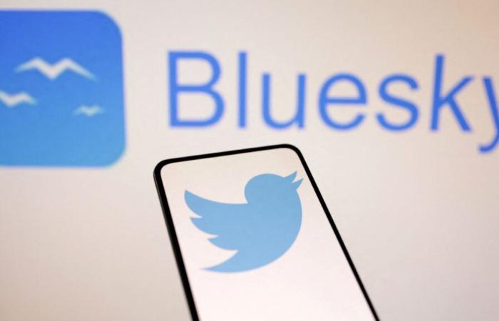 Bluesky gets surge in users switching from X after US election | Science, Climate & Tech News