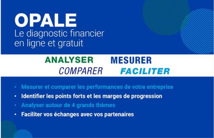 Swore. OPALE: the Banque de France's tool to guide companies towards an enlightened financial future | Weekly 39