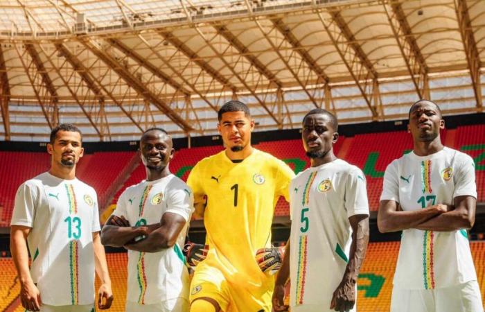 The Lions pose with the new Senegal home and away jerseys for 2025 (Photos)