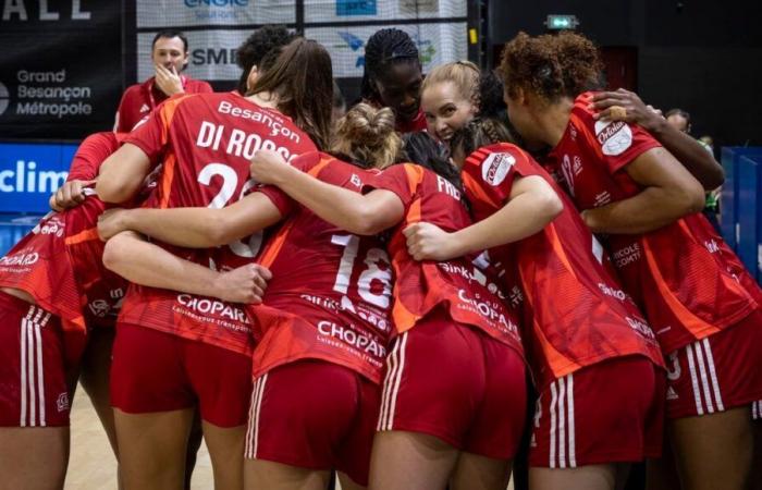 Handball: the ESBF still resisted the Brest armada a little in D1/LBE