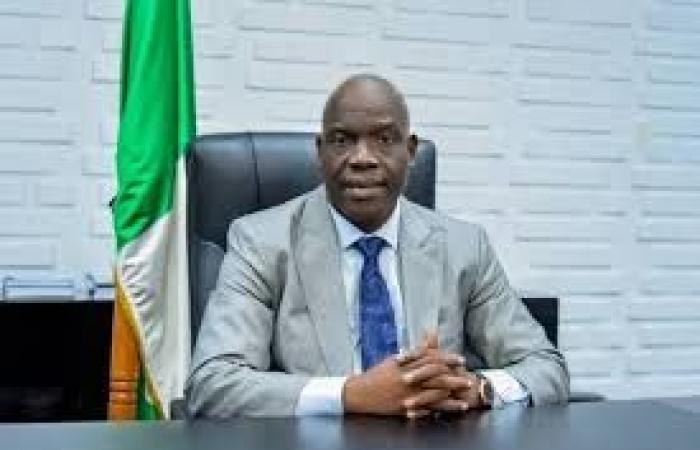 Nigeria commits to reducing gas emissions | APAnews