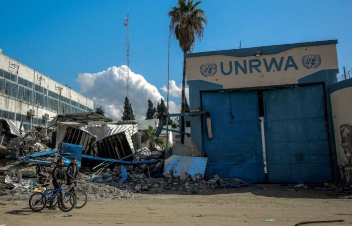 in Gaza, the anger and indignation of an UNRWA official