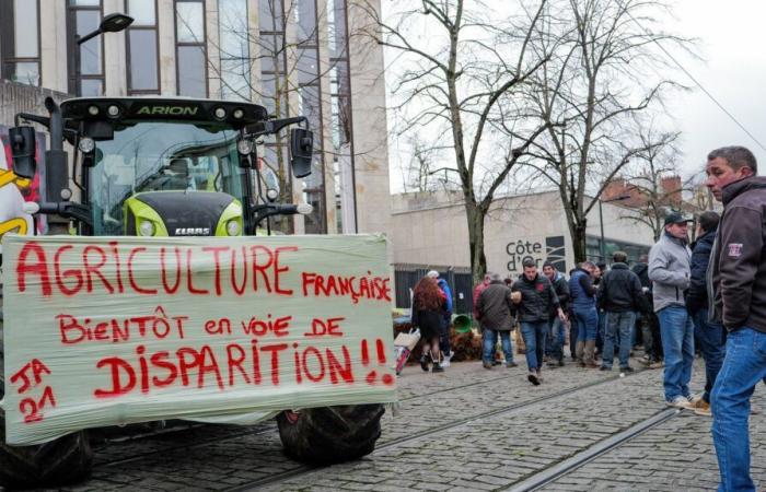 More than 600 French parliamentarians affirm in a forum their opposition to the trade agreement between the European Union and Mercosur