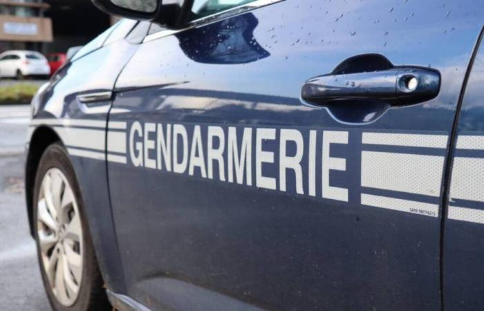 Two people arrested in Côtes-d’Armor after the death of a 70-year-old man