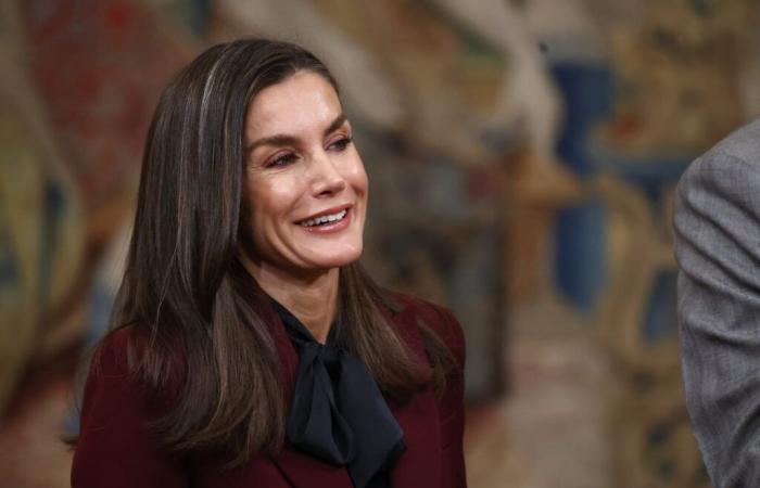 in official release, Letizia from Spain wears a very special pair of earrings