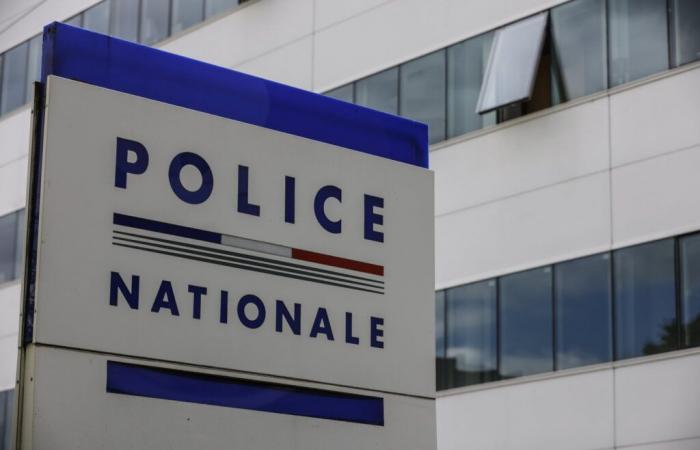 A man, suspected of having killed several homeless people in France, arrested