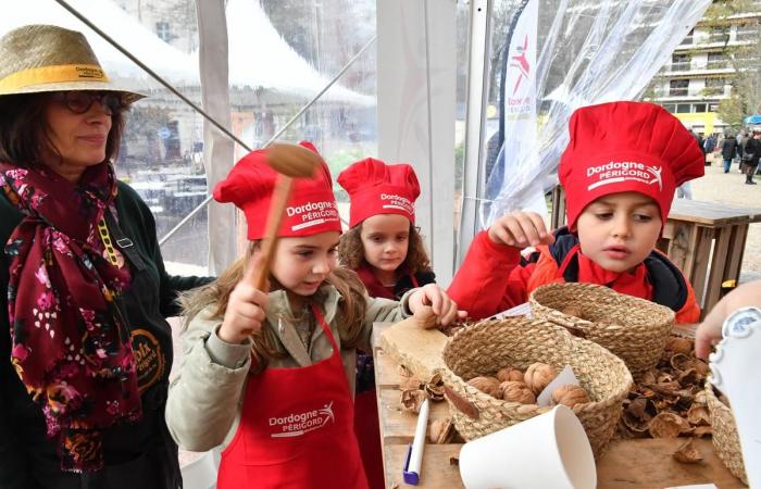 Five good reasons to go to the Périgueux Gourmet Book Festival