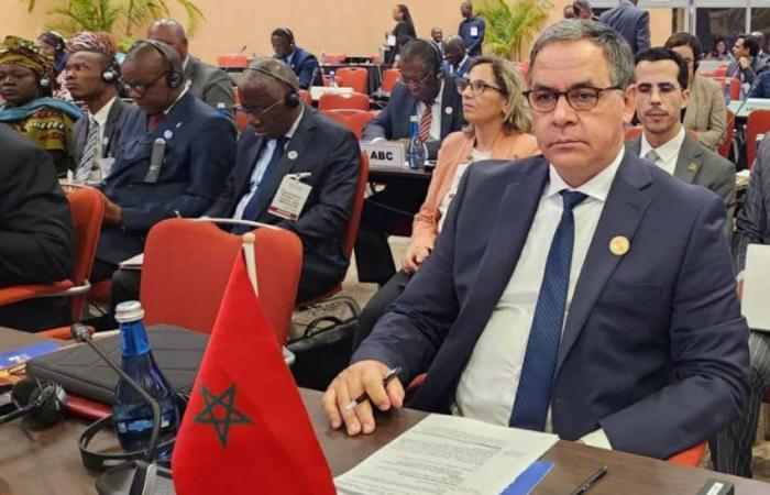 Libyan crisis: Morocco supports the political process | APAnews