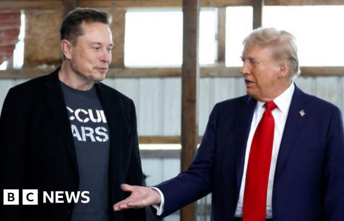 Trump picks Elon Musk to advise on how to ‘dismantle’ bureaucracy