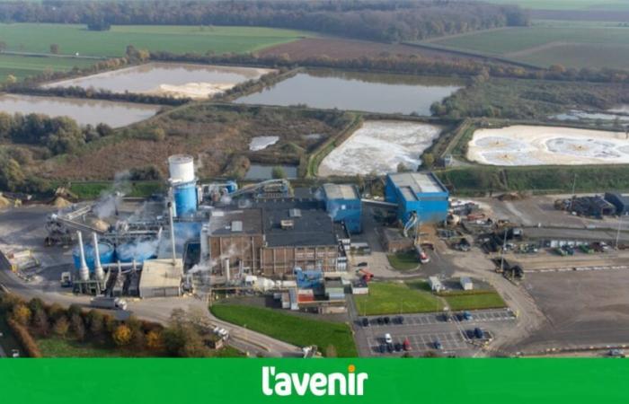 Éghezée: 18,000 tonnes per day, the sweet diet of the Longchamps grater