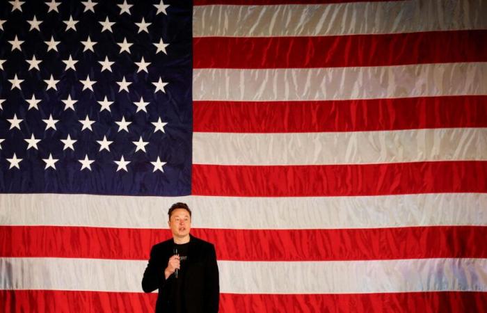 Billions to find, a year and a half of mission… The roadmap of Musk, appointed to “governmental efficiency”