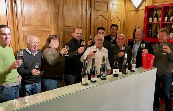 GARD RHODANIEN With the Balade du primeur, new wine is a vector of conviviality