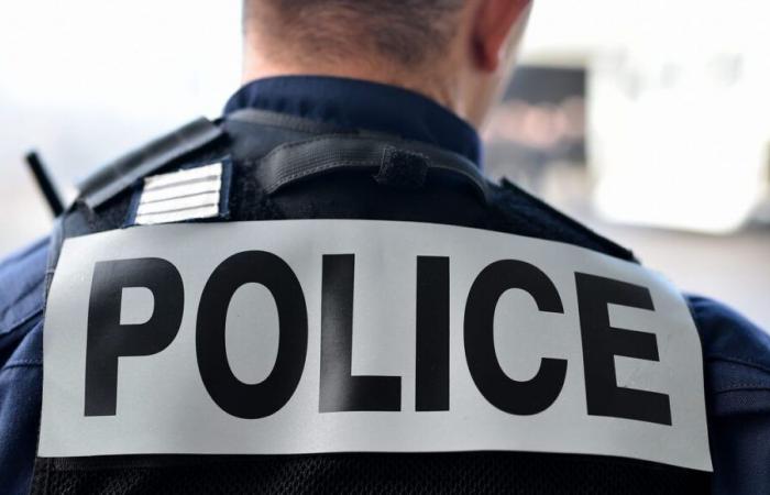 Arrest of a man suspected of having killed a homeless man in Lyon and of attempted homicides in Dijon, Évry and Strasbourg