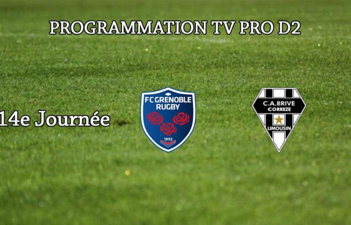 The TV programming of the J14 of the Pro D2