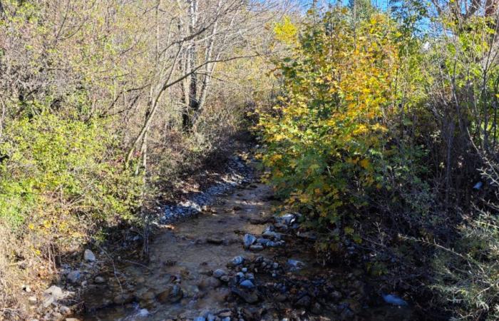 Two million euros to secure the Saint-Pancrace torrent in La Bâtie-Neuve