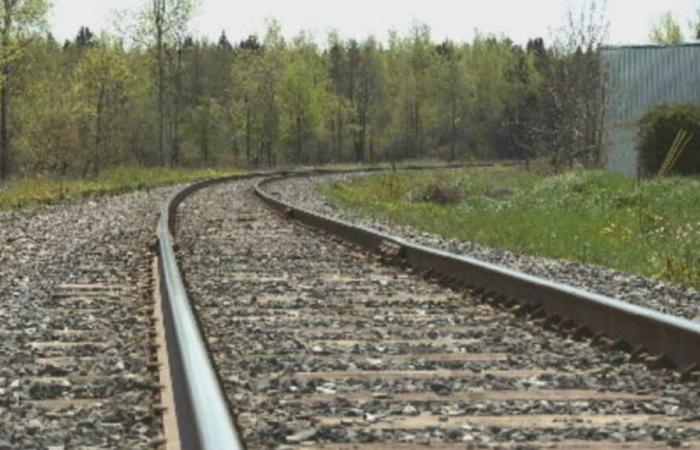 Rail bypass: Nantes ceases all communication with the federal government