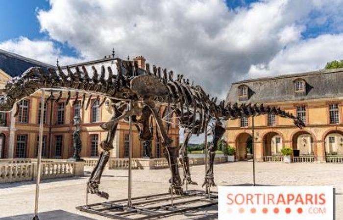 Vulcan, the largest dinosaur sold at auction this Saturday, November 16 in Dampierre-en-Yvelines