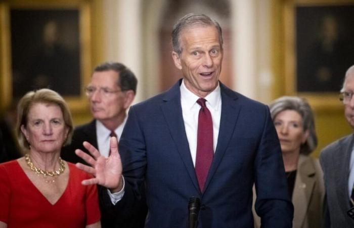 United States: John Thune takes the lead of the Republicans in the Senate