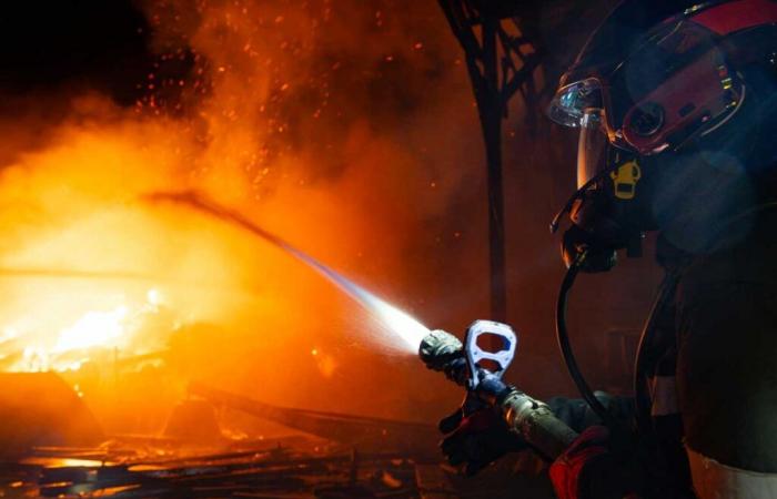 firefighters rescue animals from burning building