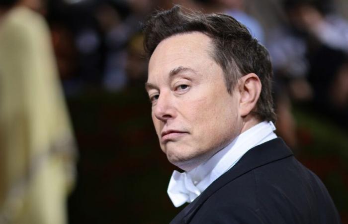 Elon Musk will work well with the Trump government