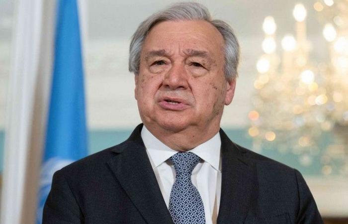 Renewable energies in Africa: António Guterres calls for a green revolution at COP29 – VivAfrik