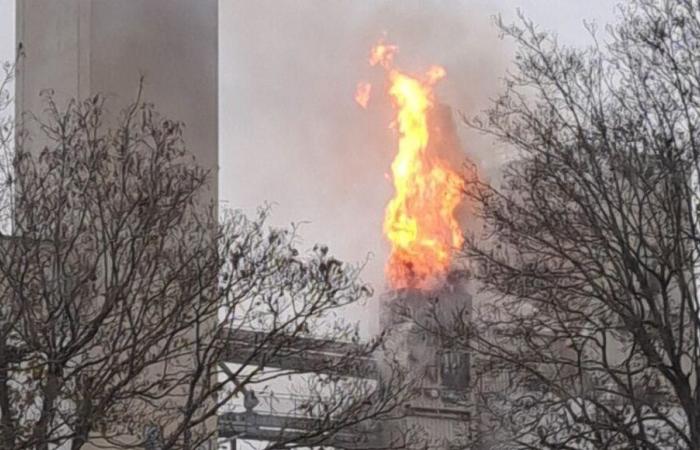 Côte-d’Or: a silo of the Bourgogne du Sud agricultural cooperative victim of a major fire in Beaune