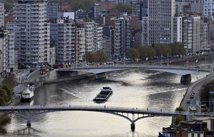 Two tonnes of latex dumped into the Meuse in France, but Belgium has not been warned: what are the risks for our health?