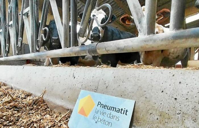 Pneumatit, the strange concrete “with vital forces” which is gaining ground in Brittany