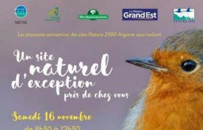 Open days in Revigny sur Ornain