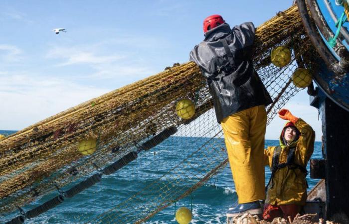 Is sustainable fishing still possible? – Liberation