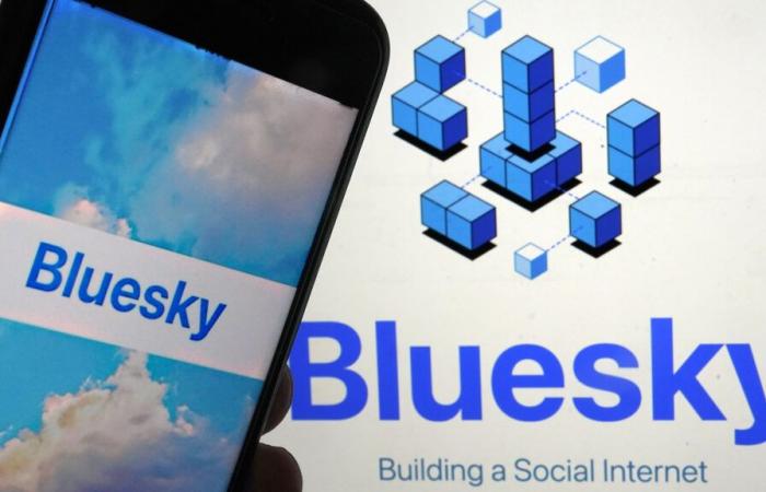 Alternative to X: Bluesky has gained 1 million users since the US election