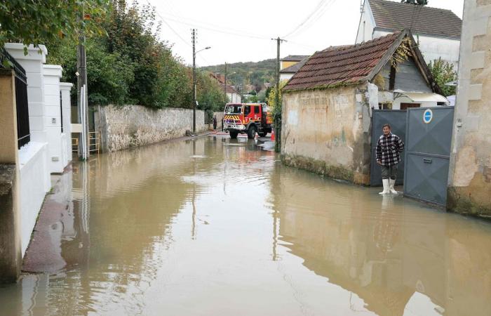 Damage to the house of Raymond Devos, in France: an exceptional appeal for donations is launched