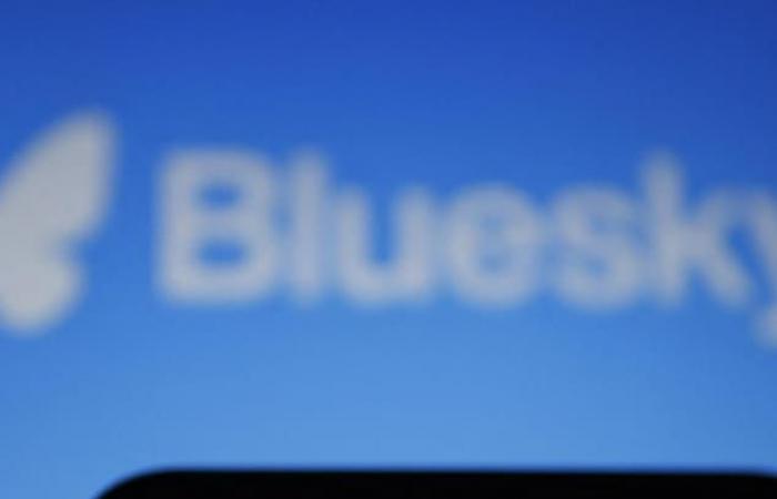 Bluesky, rival of X, (finally) takes off