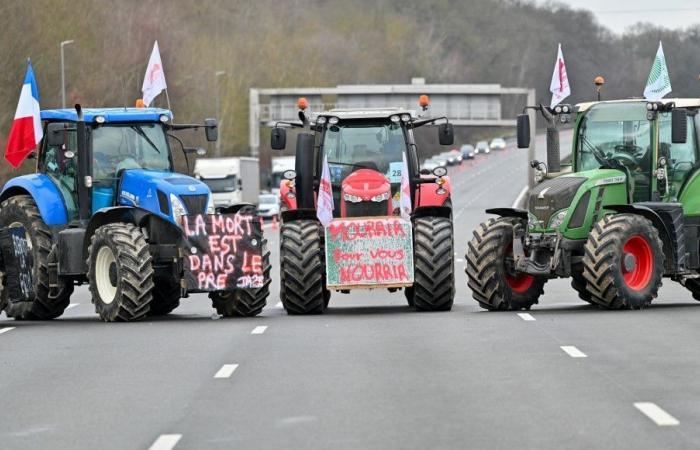 Agricultural crisis: FNSEA calls for national mobilization “from next Monday”