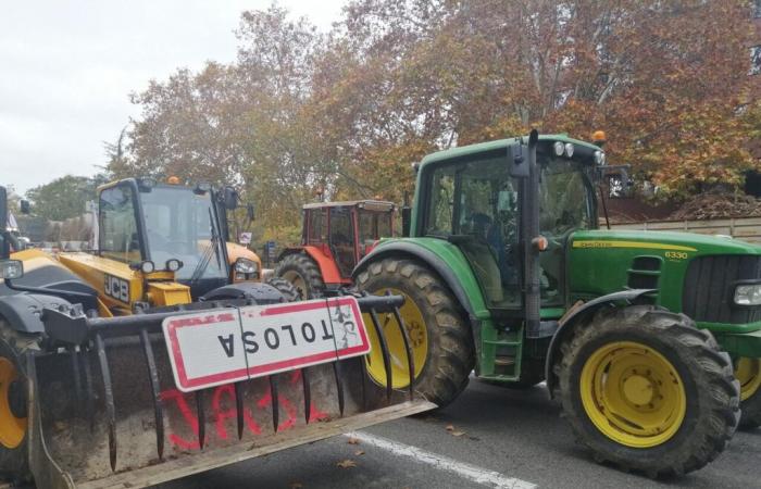 Toulouse. Farmers are preparing a large-scale mobilization by the end of the month