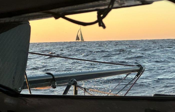 Richomme in the lead, torn sail and damaged ankle, damage on board… The race diary